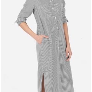 Everlane Shirt Dress